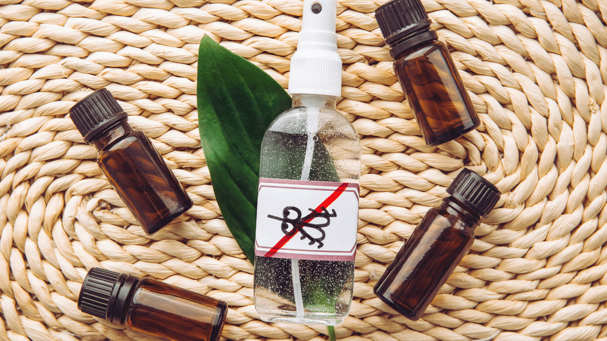 huile-essentielle-anti-moustique